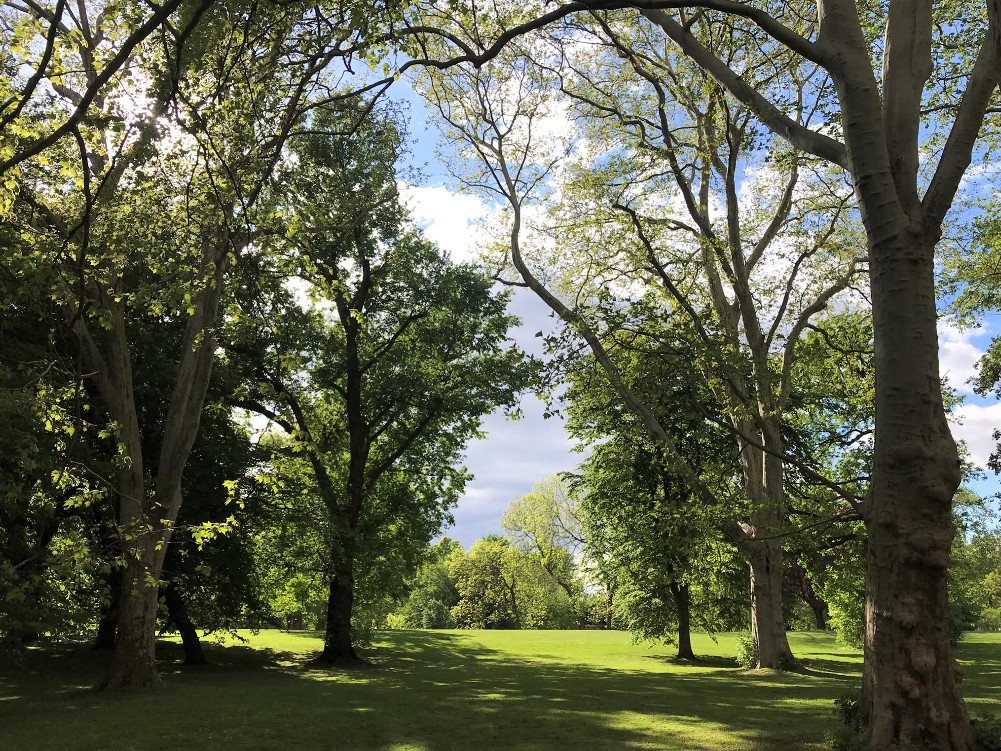Der Bürgerpark Braunschweig ist mein zweites Wohnzimmer. (Foto Kultreiseblog)
